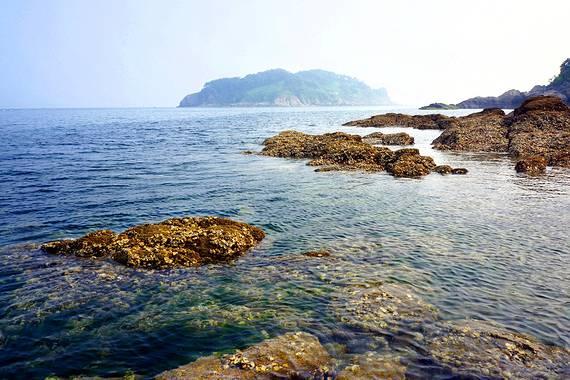 从什么途径可以知道夏令营的消息，并且怎么准备和申报?