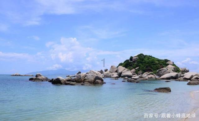 让我们一起倾听短肢领航鲸“海棠”的“歌声”