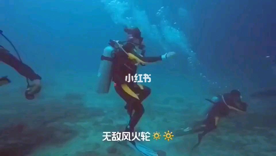 山东两位省政府副秘书长职务调整