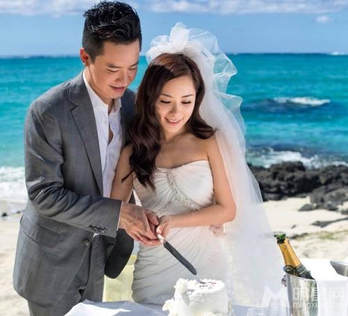 发财树叶子长斑发黄怎么办？游戏画面