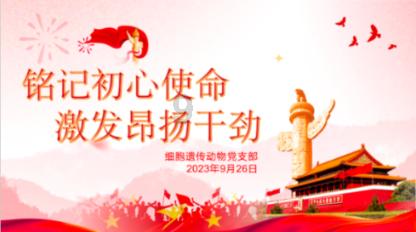 超数码宝贝3.0