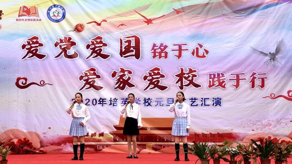 鸿蒙开始生根发芽