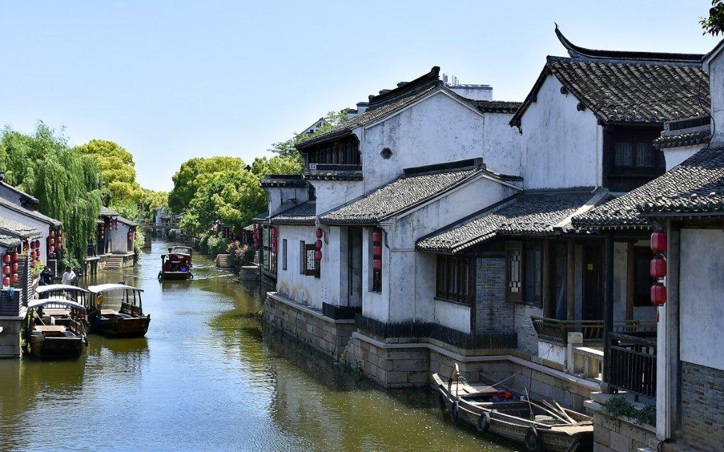 爱吃叶子的毛毛虫
